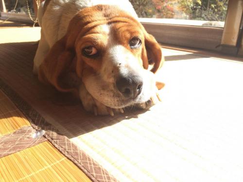 51704590_542201779618204_2996339975064125440_n